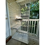 Image 3 of customer photos