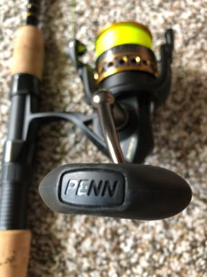 daiwa bg sw spinning reel vs penn battle 2 IV 3000 Rugged aluminum construction reel with 6 stainless ball bearings and Graphite Composite Rod with EVA Foam grips Penn Battle II Spinning Reel