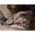 Image 4 of customer photos