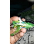 Image 3 of customer photos