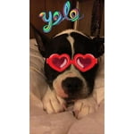 Image 1 of customer photos