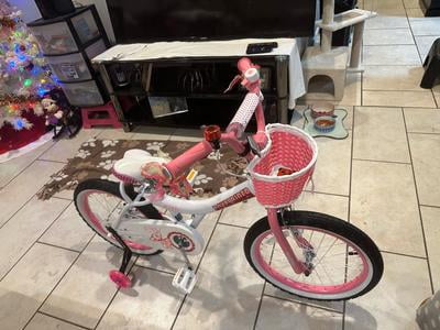 Royalbaby Jenny Girls and Kids 18 Inch Bicycle, Training Wheels