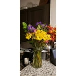 Image 1 of customer photos