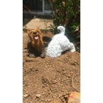 Image 3 of customer photos