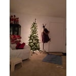 Image 2 of customer photos
