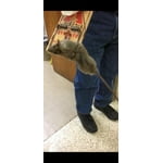 Image 3 of customer photos