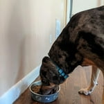 Image 3 of customer photos