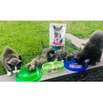 Image 5 of customer photos