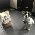 Image 6 of customer photos