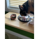 Image 6 of customer photos