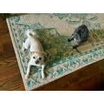 Image 5 of customer photos