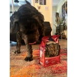 Image 5 of customer photos