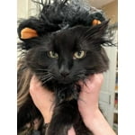 Image 6 of customer photos