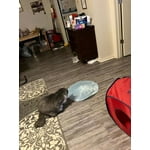 Image 6 of customer photos