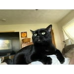 Image 3 of customer photos