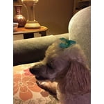 Image 2 of customer photos