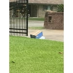 Image 4 of customer photos