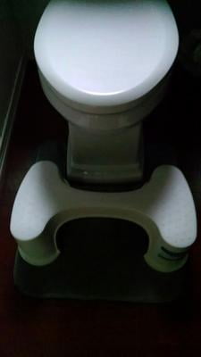 Customer reviews for Clorox Antimicrobial Reversible Toilet Stool