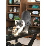 Image 1 of customer photos