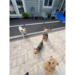 Image 5 of customer photos