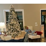 Image 4 of customer photos