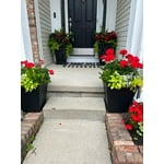 Image 2 of customer photos