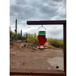 Image 6 of customer photos