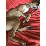 Image 3 of customer photos