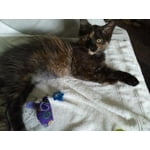 Image 1 of customer photos