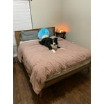 Image 2 of customer photos