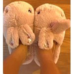 Image 5 of customer photos