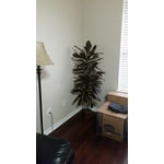 Image 2 of customer photos