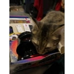 Image 7 of customer photos