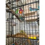 Image 5 of customer photos