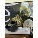 Image 2 of customer photos