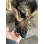 Image 7 of customer photos