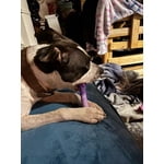 Image 1 of customer photos