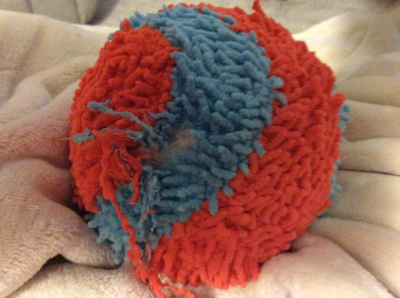 chuckit indoor fumbler