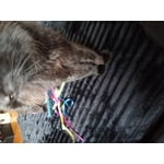 Image 3 of customer photos