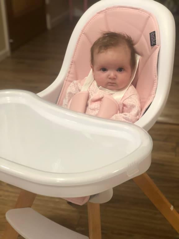 evolur zoodle high chair