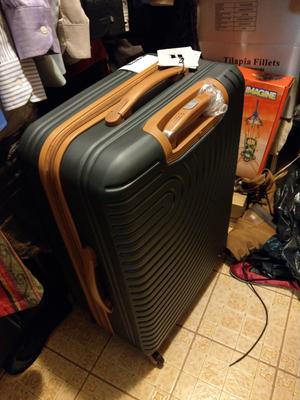 it luggage oasis 31.3 upright spinner