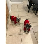 Image 1 of customer photos