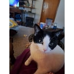 Image 6 of customer photos