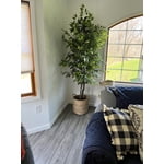 Image 1 of customer photos