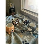 Image 5 of customer photos