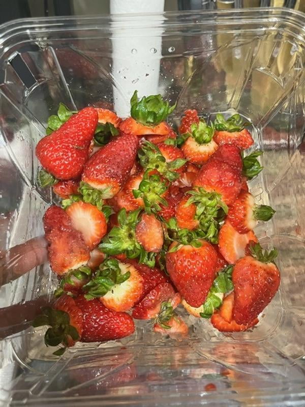 Hot House Strawberries, 28 oz. - Samsclub.com
