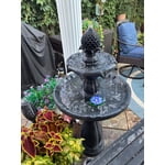Image 2 of customer photos