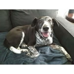 Image 5 of customer photos