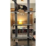 Image 7 of customer photos