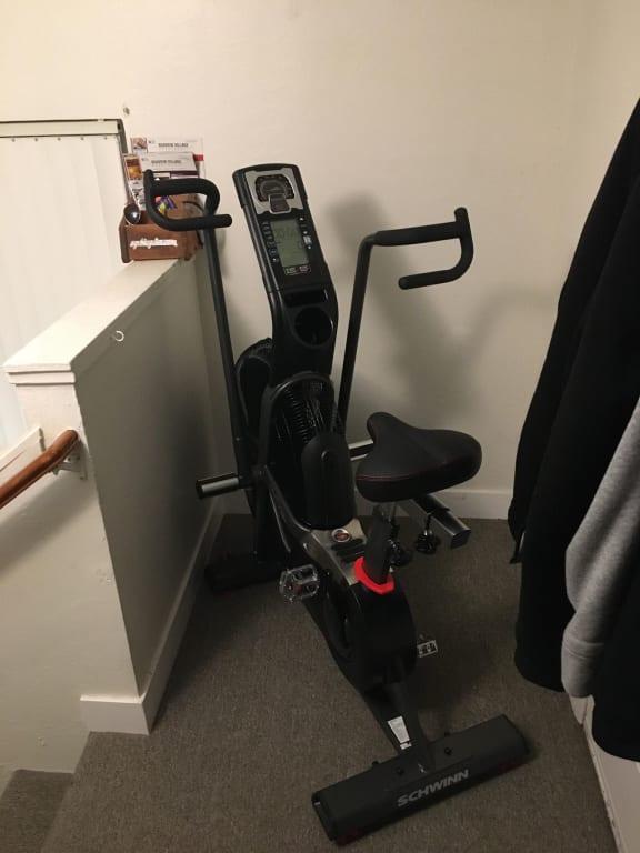 Schwinn airdyne ad7 walmart sales